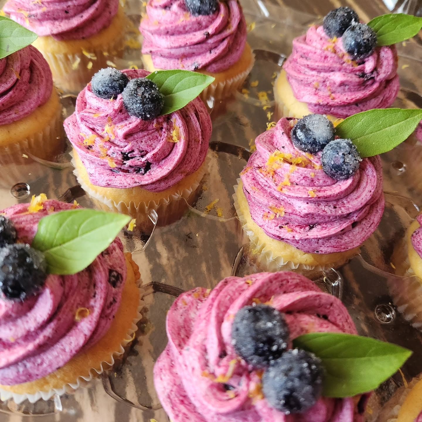 Pink frosted cupcakes topped with blueberries and green leaf garnish